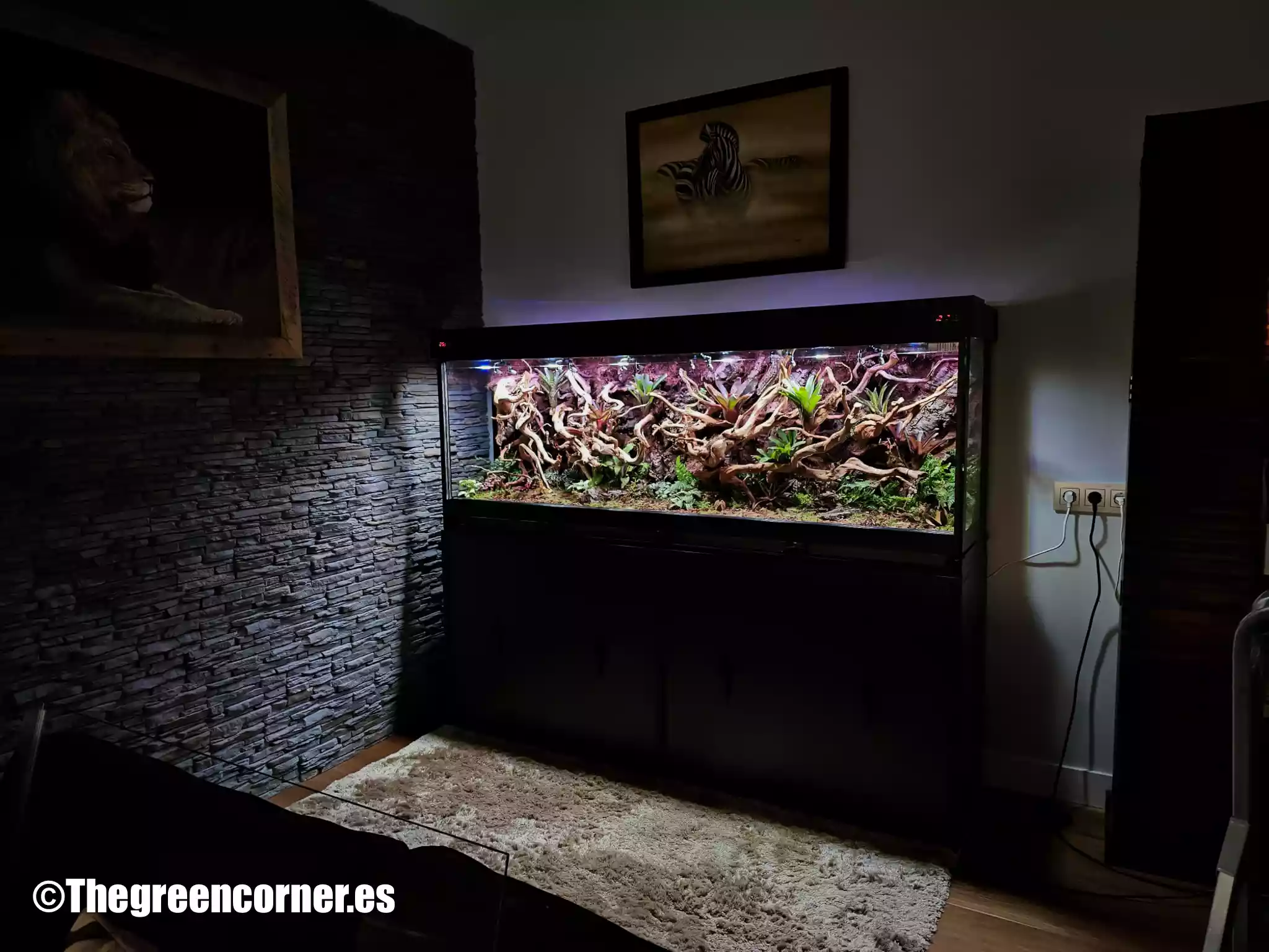 Terrario para dendrobates 200x45x70 Full equip!