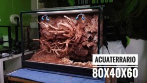 Aquaterrario 80x40x60: Equipo anfibio!
