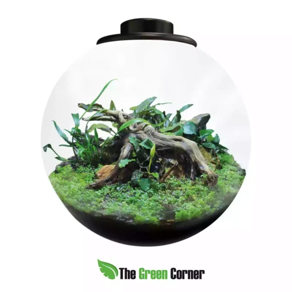 bioart-bowl-negro-detalle