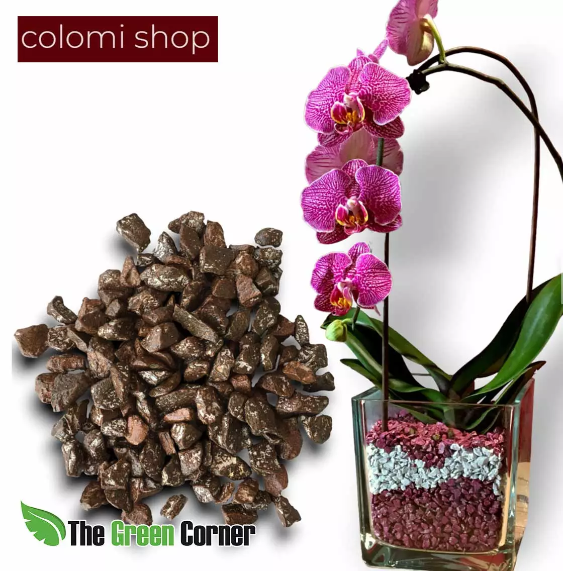 Método Colomi: Una forma diferente de cultivar Orquideas