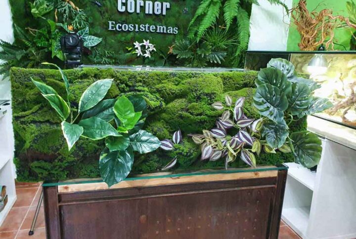 cuadro-vegetal-salon