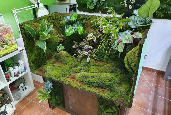 decorcion-con-plantas-artificiales
