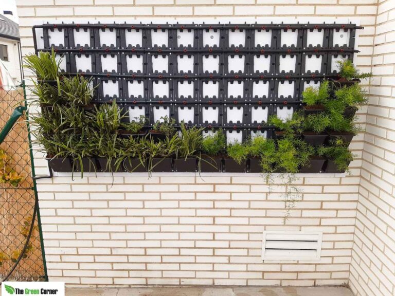 detalle-plantas-jardin-vertical