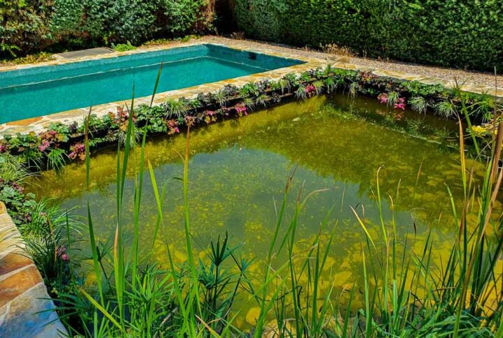 estanque-jardin-vertical-(1)