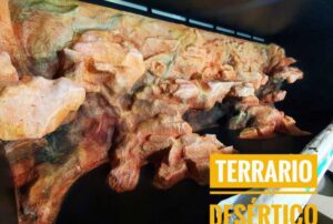 Terrario desértico para Pogona 170x50x50