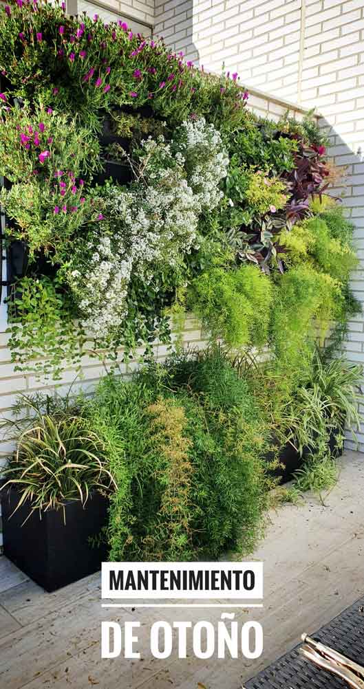 jardin-vertical-casa-2
