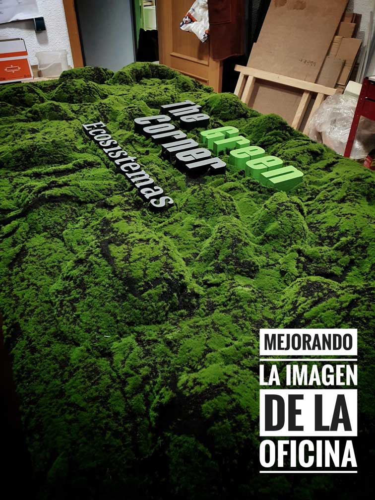 jardin-vertical-proceso