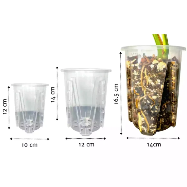 maceta-Aroid-Pot