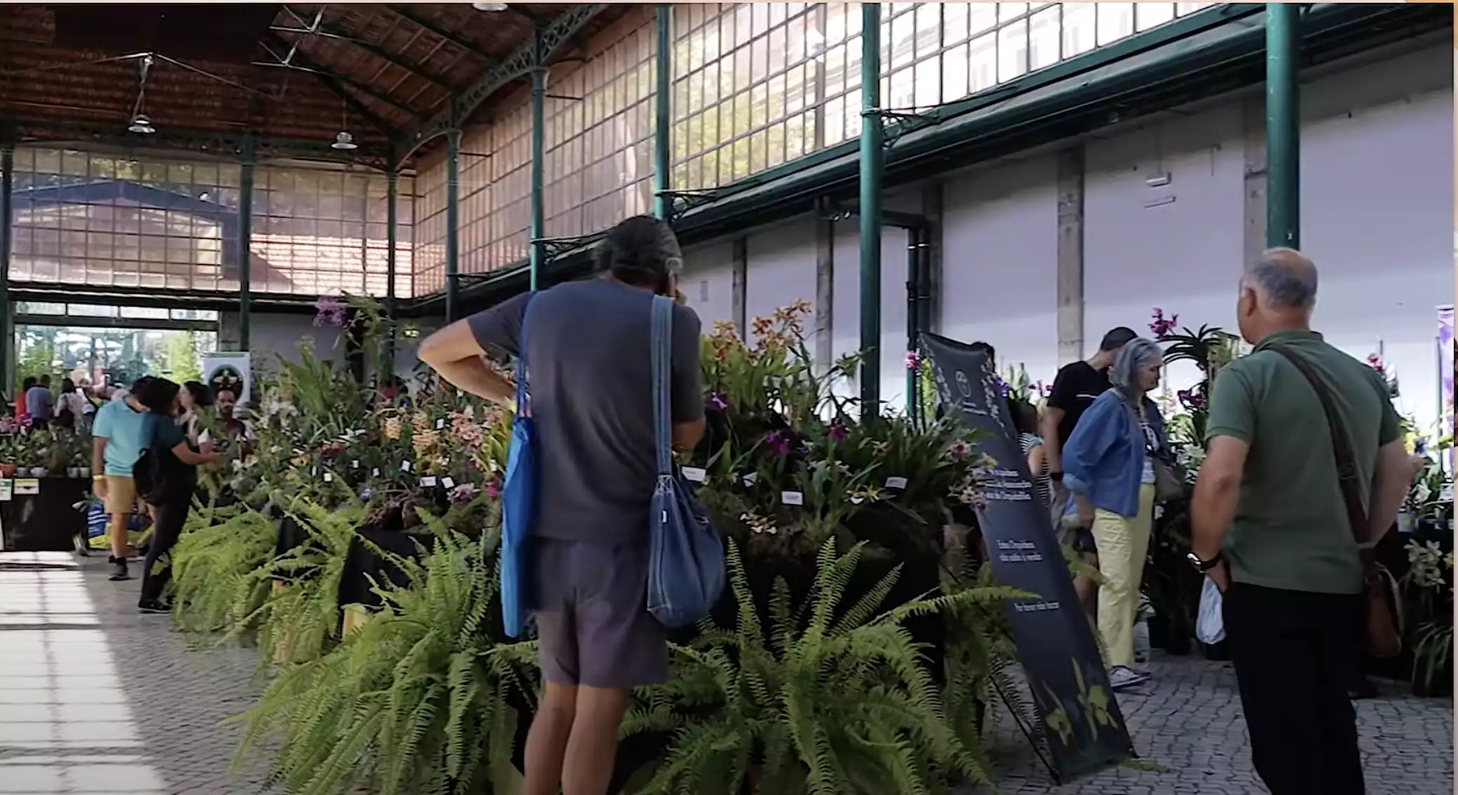 Compra y transplante de Orquideas, una reseña en Youtube. // APO Lisbon Orchid Show 2023