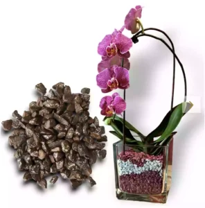 orquidea-con-colomi