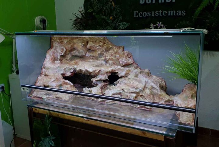 planta-artificial-terrario-pogona