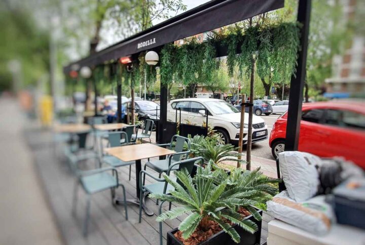 plantas-artificiales-cica-revoluta-terraza