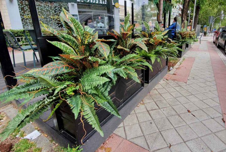 plantas-artificiales-coleo-terraza