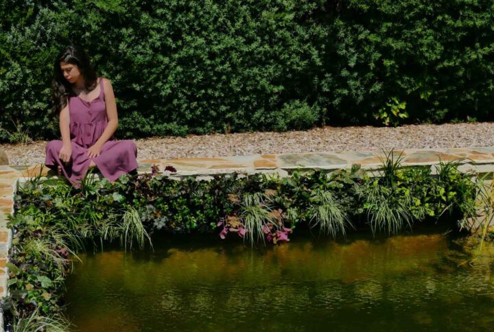 plantas-jardin-vertical