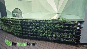 primer-plantado-jardin-vertical