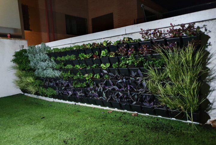 primer-plantado-jardin-vertical
