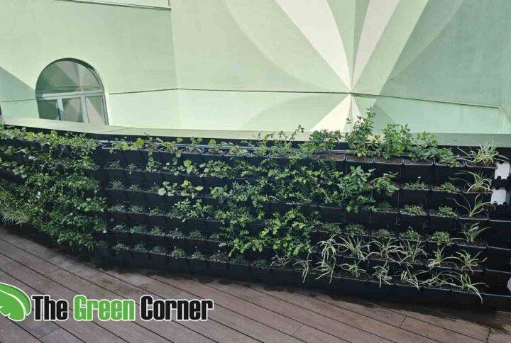 primer-plantado-jardin-vertical