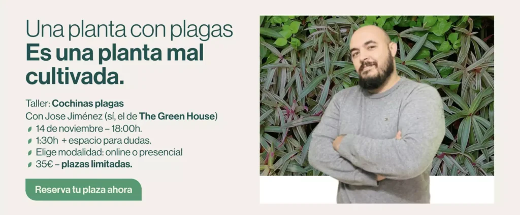 taller plagas 1