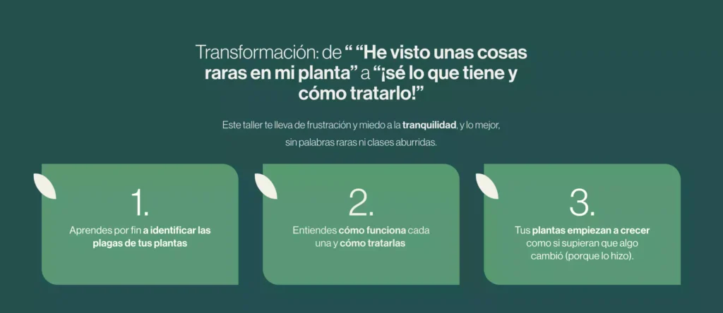 taller plagas 2