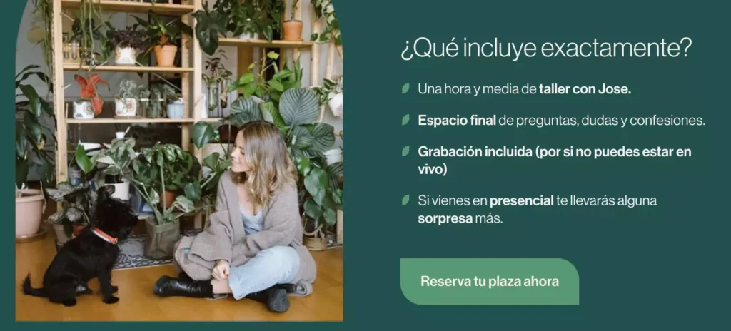 taller plagas 5