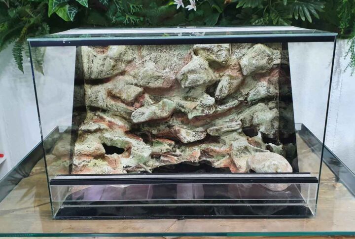 terrario-para-geckos-hecho-a-medida