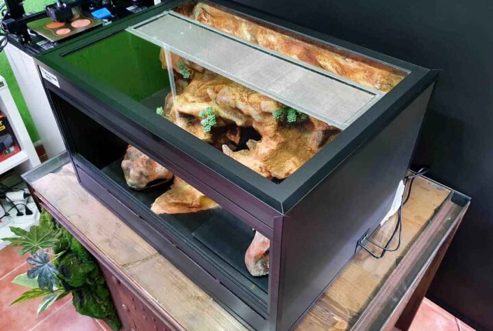 vista-superior-terrario-gecko-leopardo-scaled