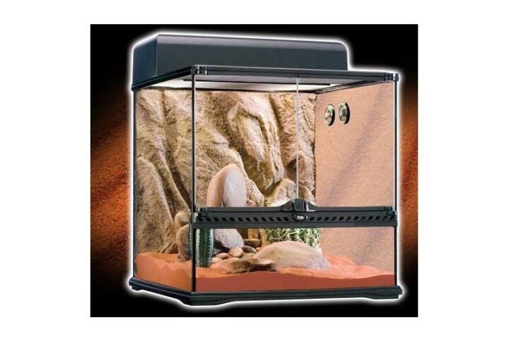 el kit terrario desertico de vidrio Exo Terra caracterizado por puertas frontales