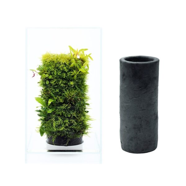 dooa terra base: Un dispositivo de calidad japonesa donde podrÃ¡s montar tus plantas palustres y orquÃ­deas de colecciÃ³n sin sufrir por el riego