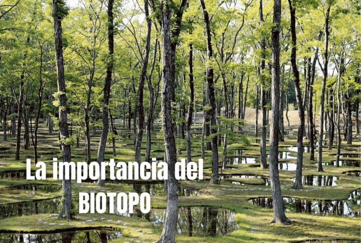 La importancia del Biotopo en los ecosistemas domÃ©sticos
