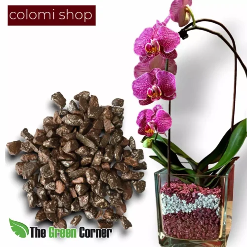MÃ©todo Colomi: Una forma diferente de cultivar Orquideas